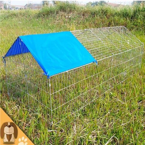 Bajd li jpoġġi Chicken Coop Popolari