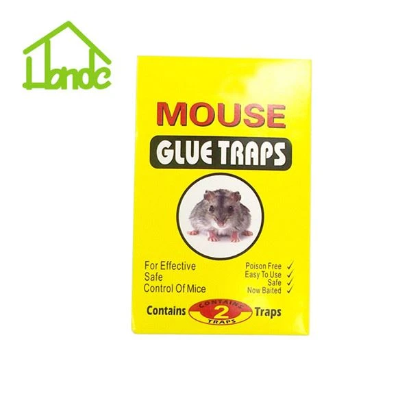 Rodent Control Rat Trap Glue
